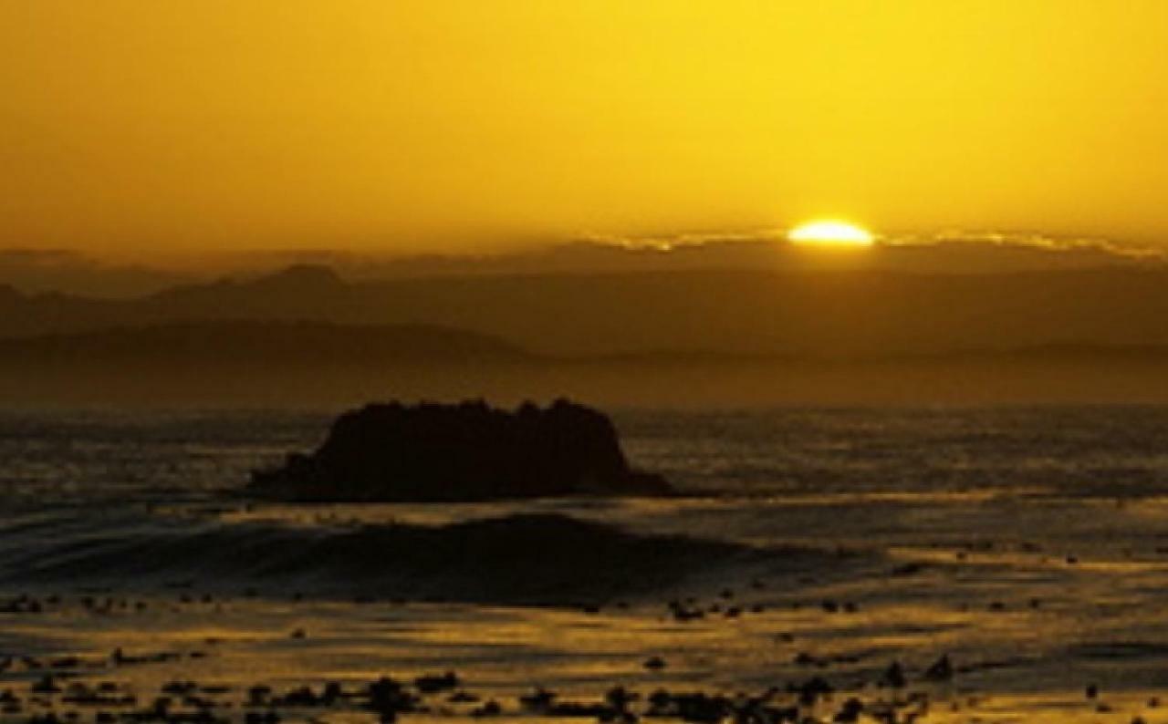 Tassies Gansbaai Exterior foto